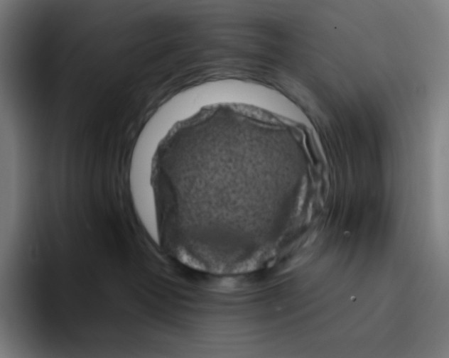 X0000094190382200711161753