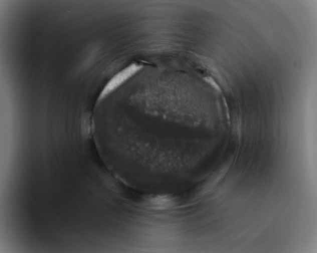 X0000094190383200711161753