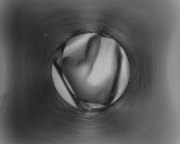 X0000094190384200711161753