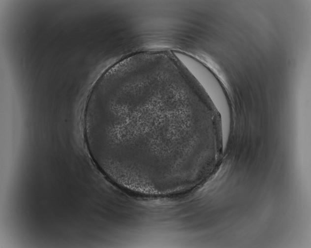 X0000094190385200711161752