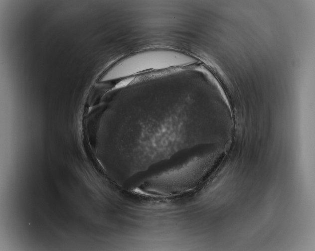 X0000094190386200711161752