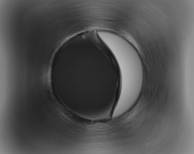 X0000094190387200711161752