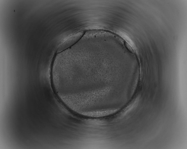 X0000094190389200711161752