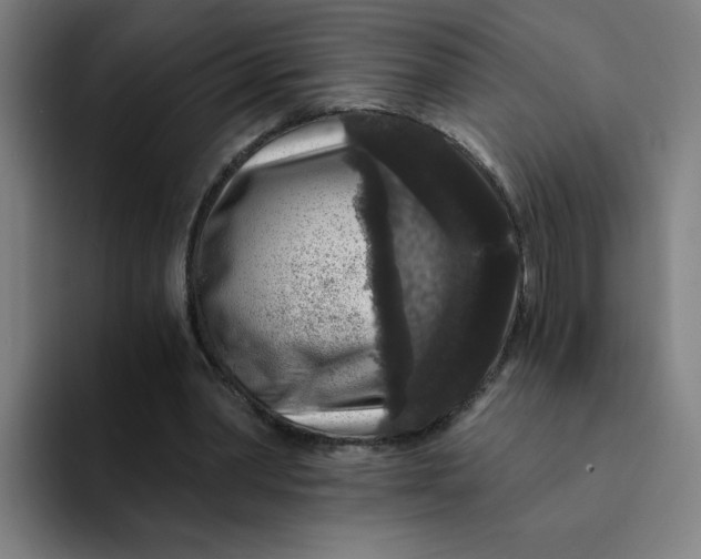 X0000094190390200711161752