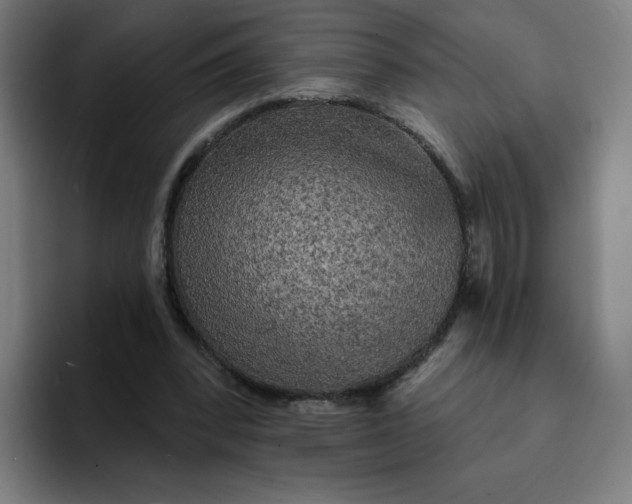 X0000094190392200711161752