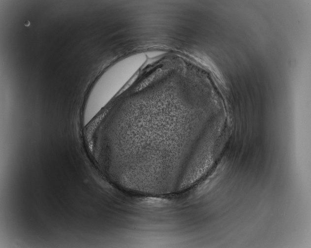 X0000094190393200711161752