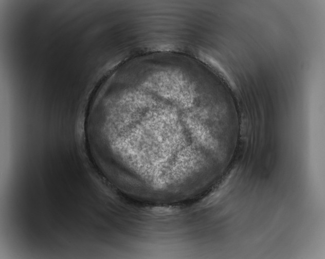 X0000094190394200711161752