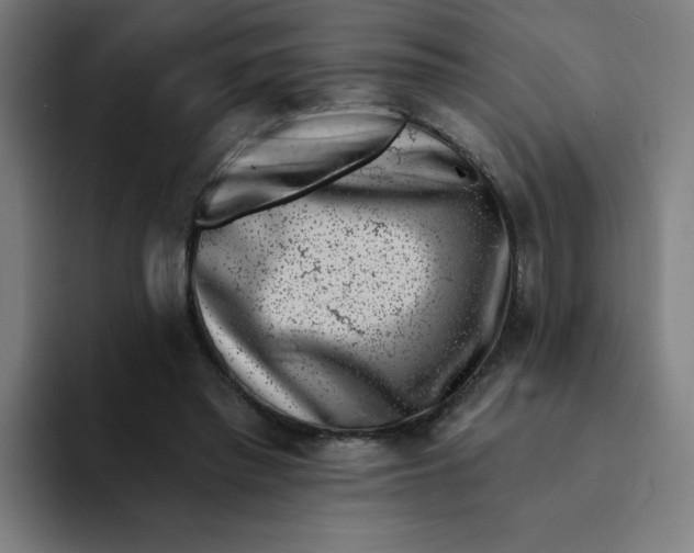 X0000094190397200711161752