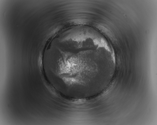 X0000094190398200711161752