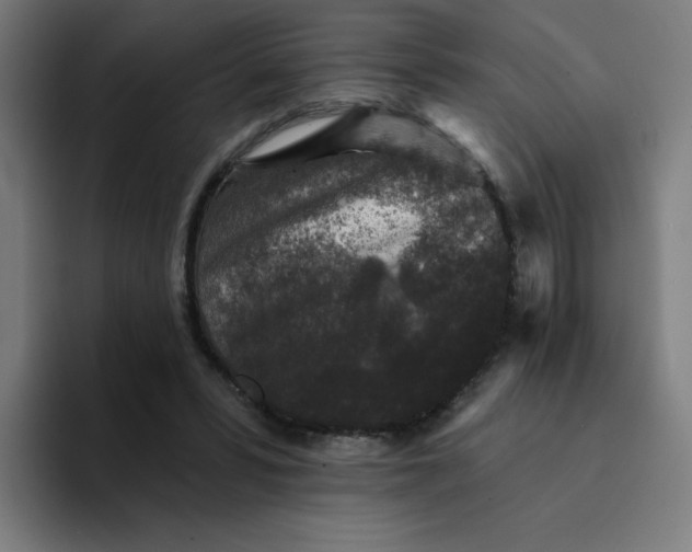 X0000094190399200711161752