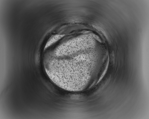 X0000094190400200711161752