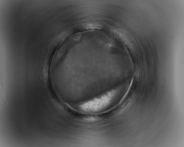 X0000094190402200711161752