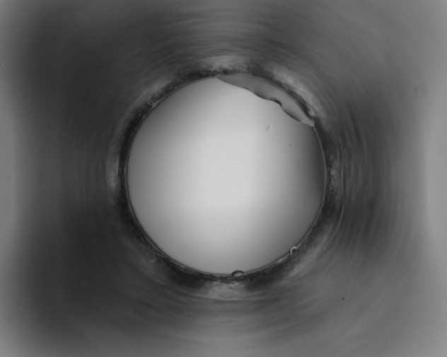 X0000094190403200711161752