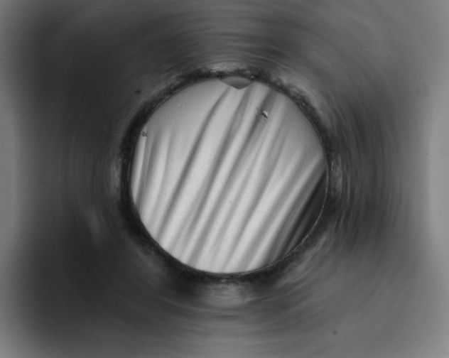 X0000094190404200711161752