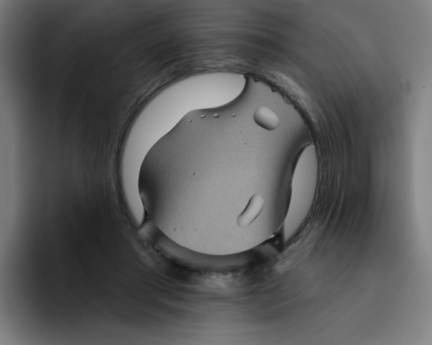 X0000094190405200711161752