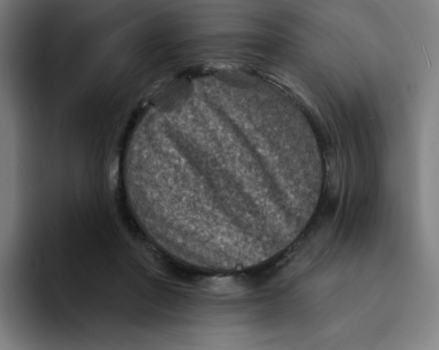 X0000094190406200711161752