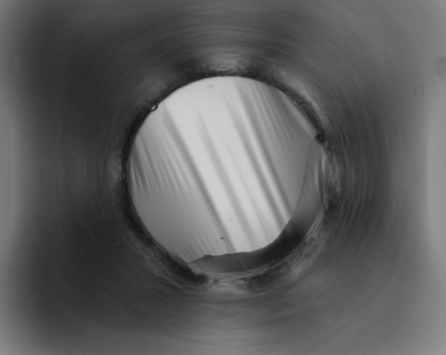 X0000094190407200711161752