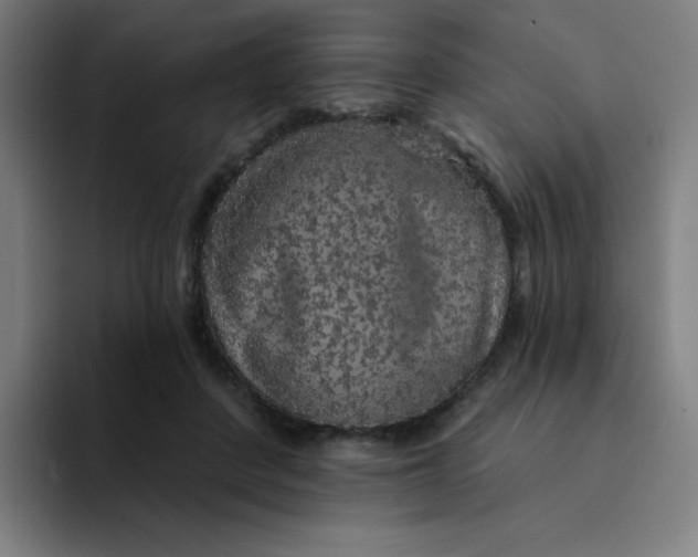 X0000094190408200711161752