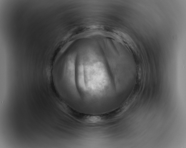 X0000094190409200711161752