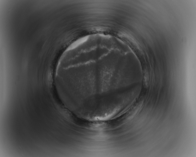 X0000094190410200711161752