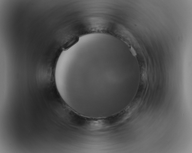 X0000094190411200711161752