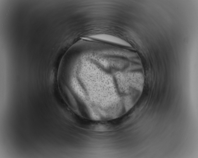 X0000094190412200711161752