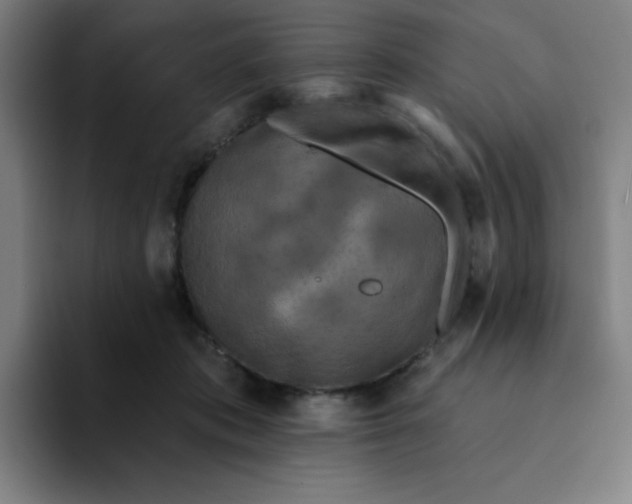 X0000094190413200711161752