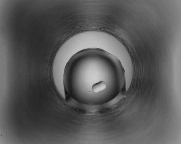 X0000094190415200711161752