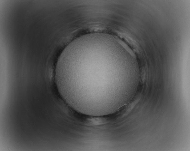 X0000094190417200711161752