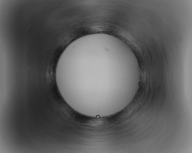 X0000094190418200711161752