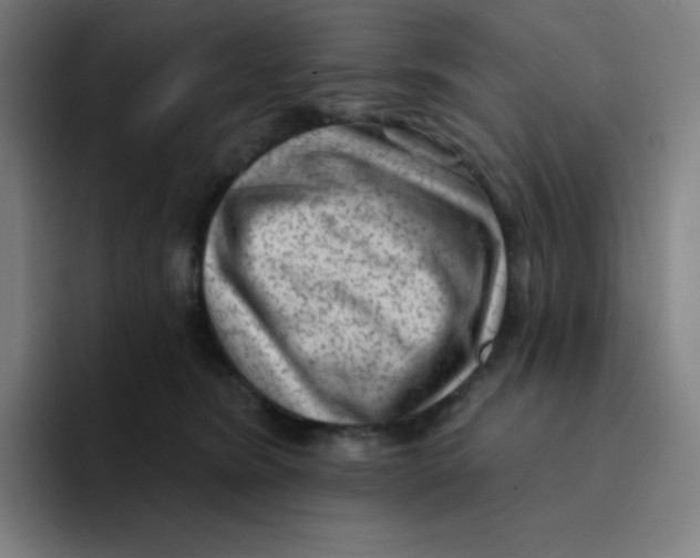 X0000094190420200711161752