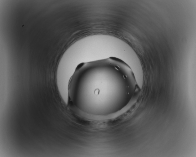 X0000094190421200711161752