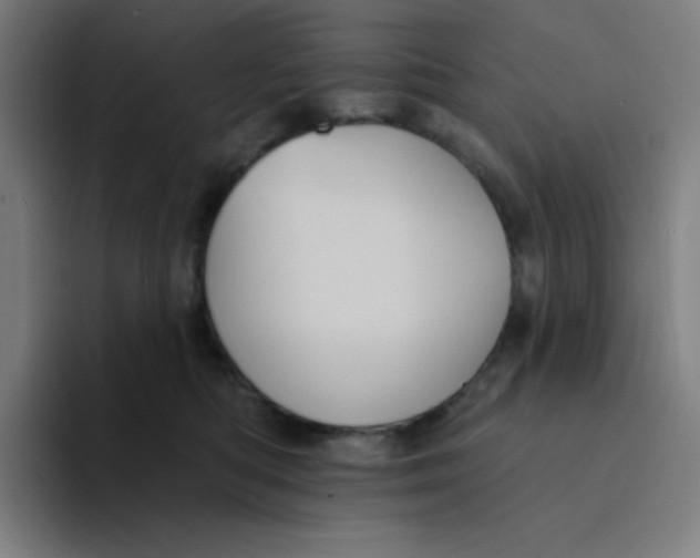 X0000094190422200711161752