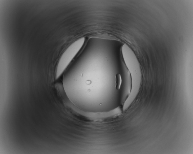 X0000094190423200711161752