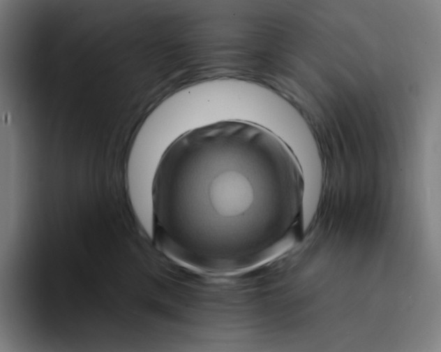 X0000094190425200711161752