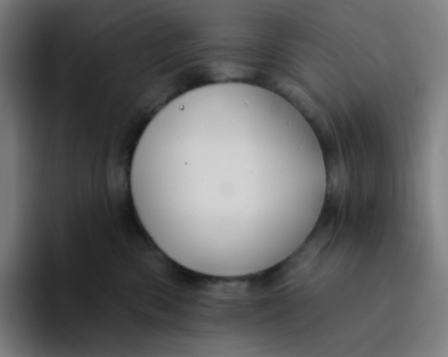 X0000094190426200711161752