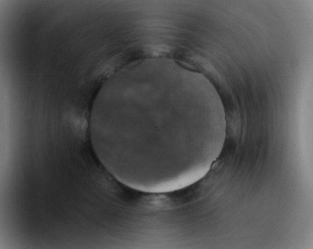 X0000094190427200711161752