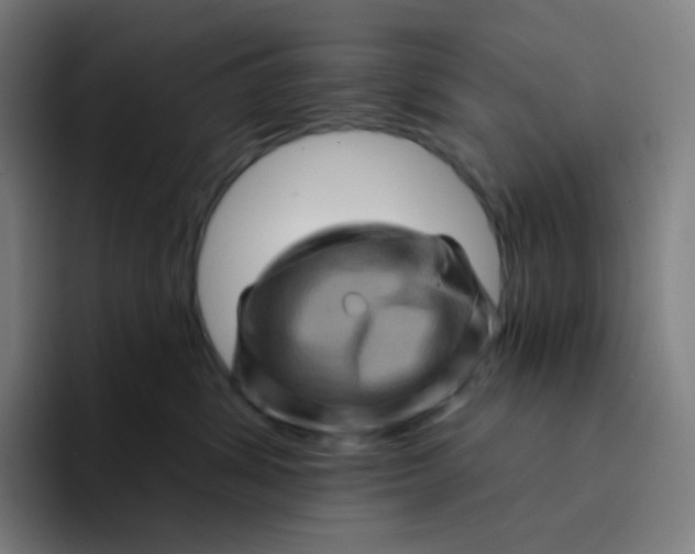 X0000094190428200711161752