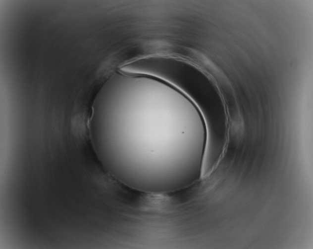 X0000094190429200711161752