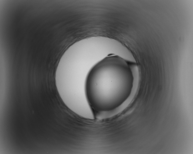 X0000094190432200711161752