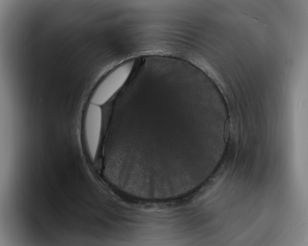 X0000094190434200711161751