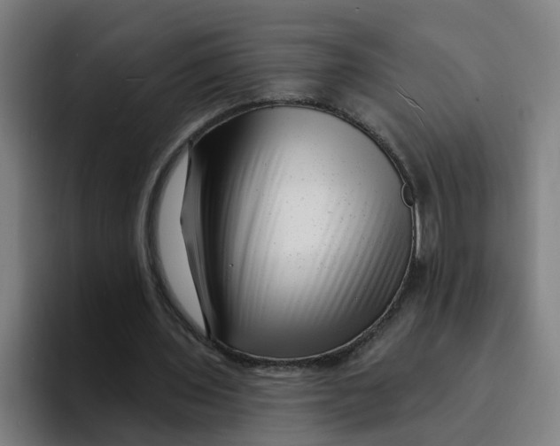 X0000094190435200711161751