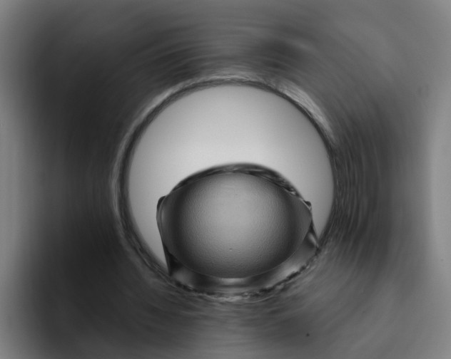 X0000094190436200711161751