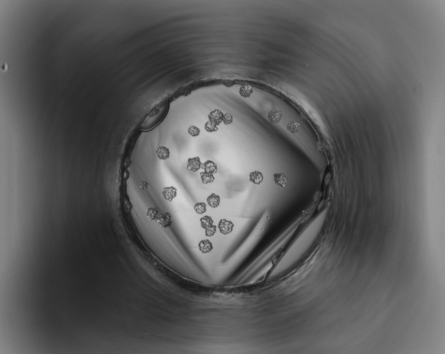 X0000094190437200711161751