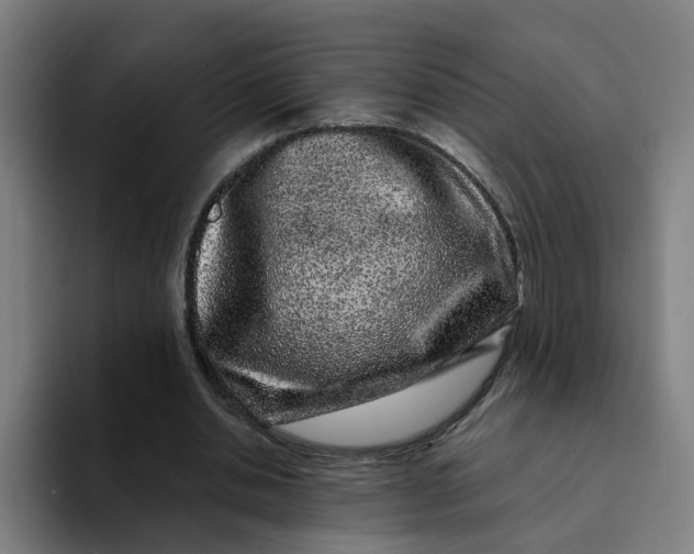 X0000094190438200711161751