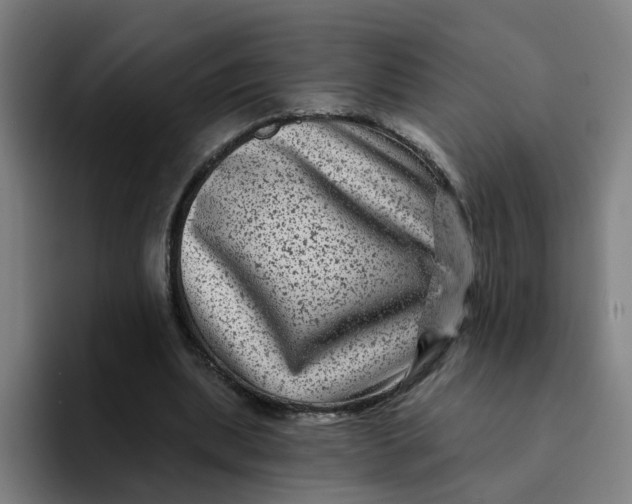 X0000094190439200711161751