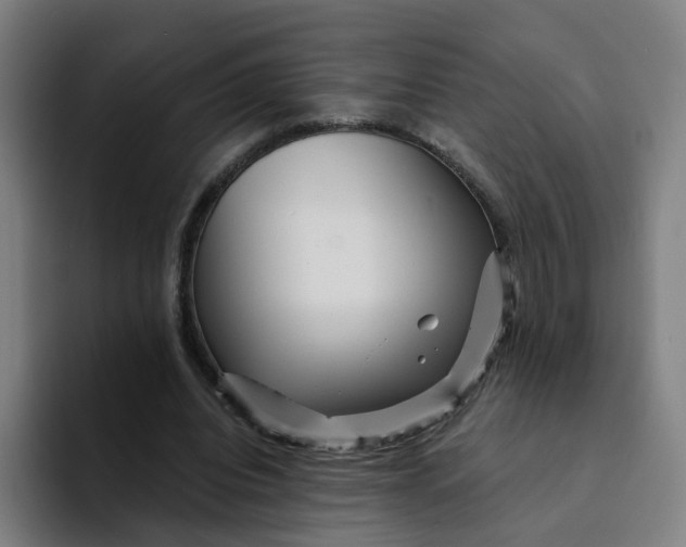 X0000094190440200711161751