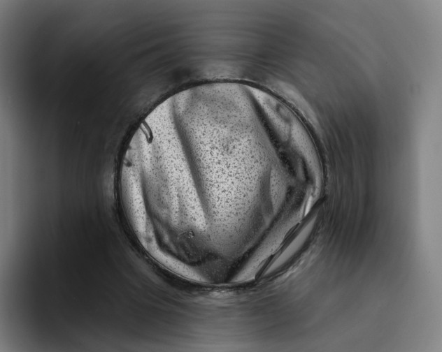 X0000094190441200711161751