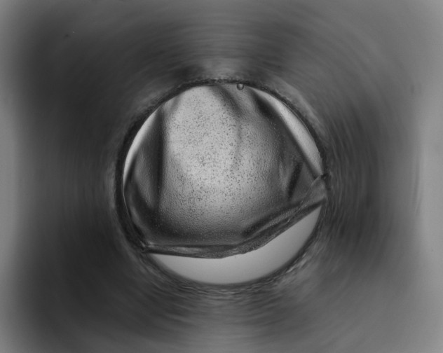 X0000094190442200711161751