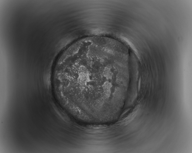 X0000094190443200711161751